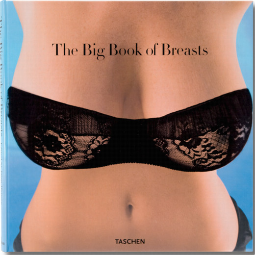 BIG BOOK OF BREASTS Dian Hanson MODERN AGE OF TOUCHABLE CURVES ~ TASCHEN HC