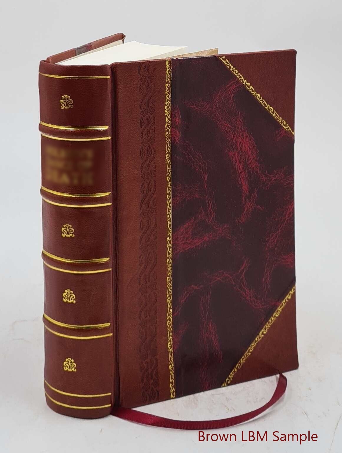 The Rocky Mountain Saints A Full And Complete History Of The Mor [Leather Bound]