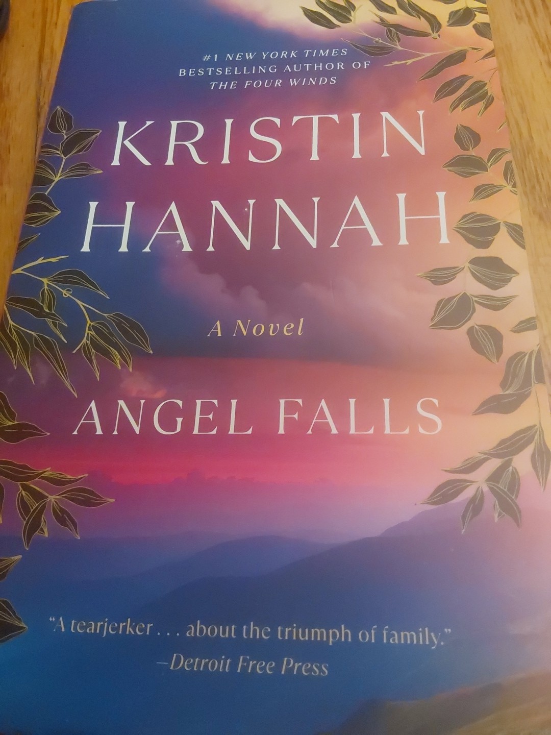 Angel Falls : A Novel by Kristin Hannah (2005, Trade Paperback)
