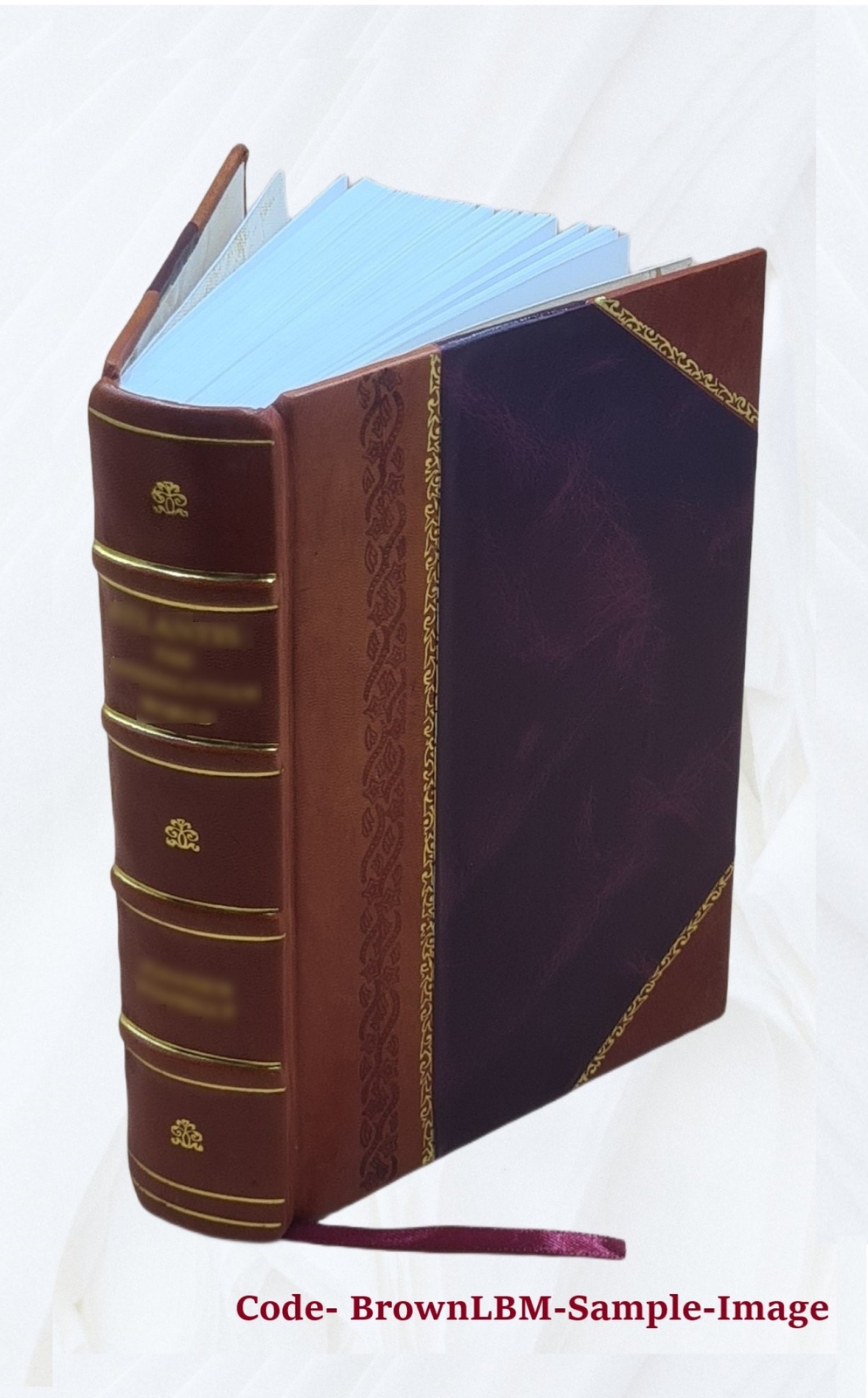 A Treatise On Equity Jurisprudence As Administered In The United [Leather Bound]