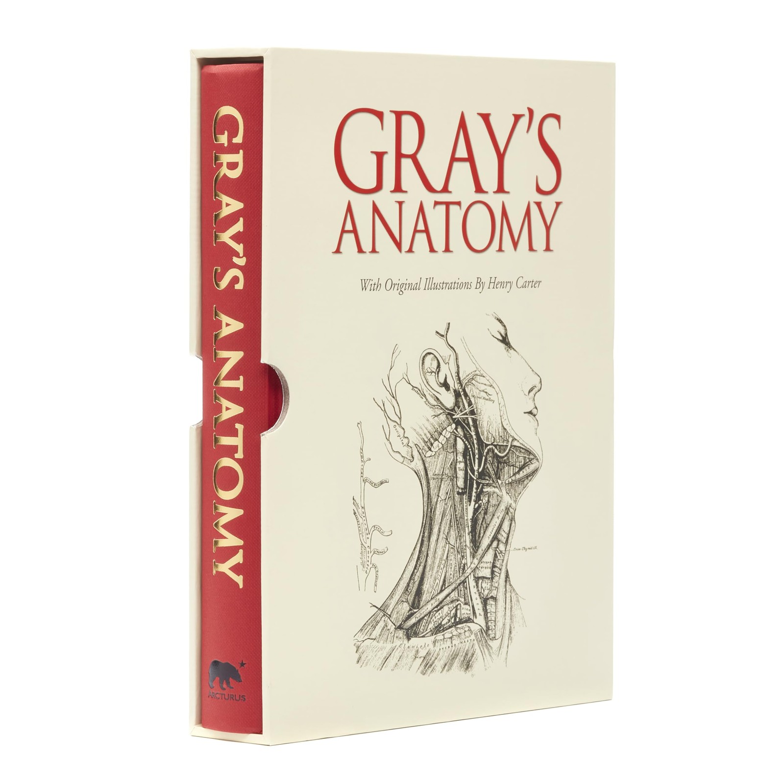 Gray’s Anatomy