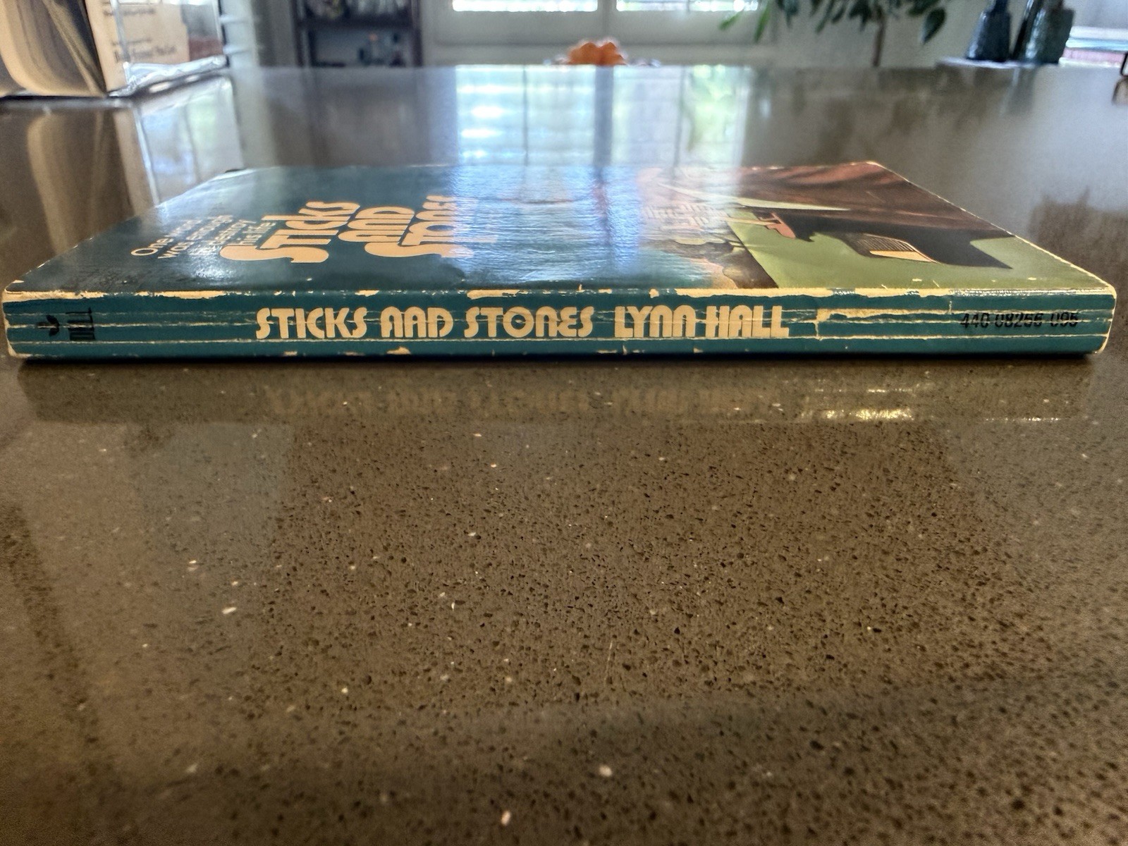 STICKS AND STONES Lynn Hall Vintage 1st LGBT Gay YA Novel 1972 Judy Blume Dell