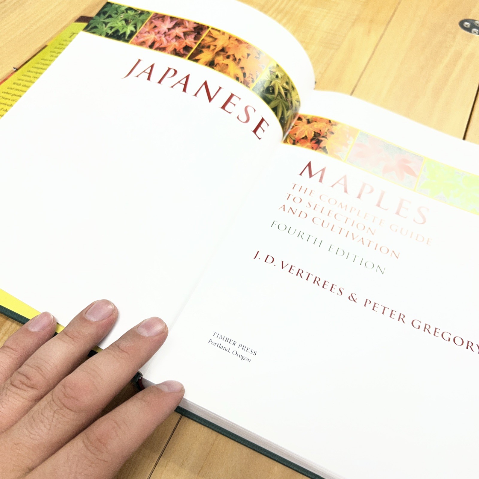 Japanese Maples : The Complete Guide to Selection and Cultivation Fourth Edition