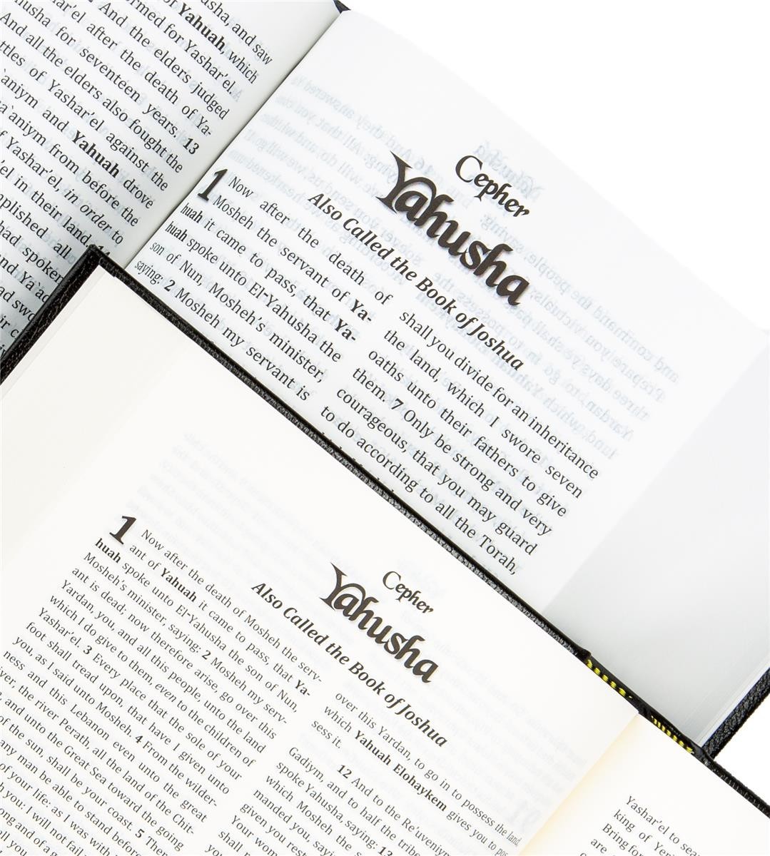 Cepher Bible: -LARGE PRINT- Soft Cover, USA Ship