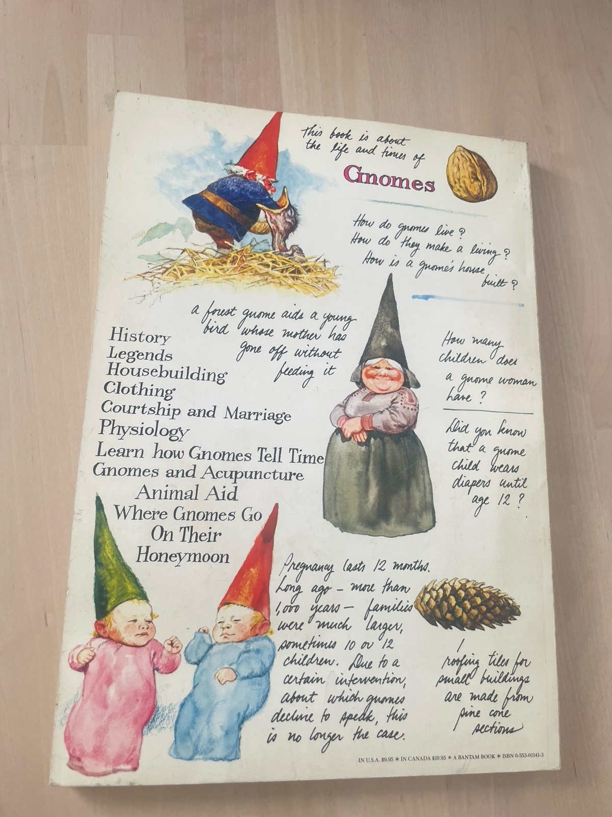 Gnomes by Wil Huygen 1979 Vintage 1st Edition Illustrated Paperback Book 12×8.25