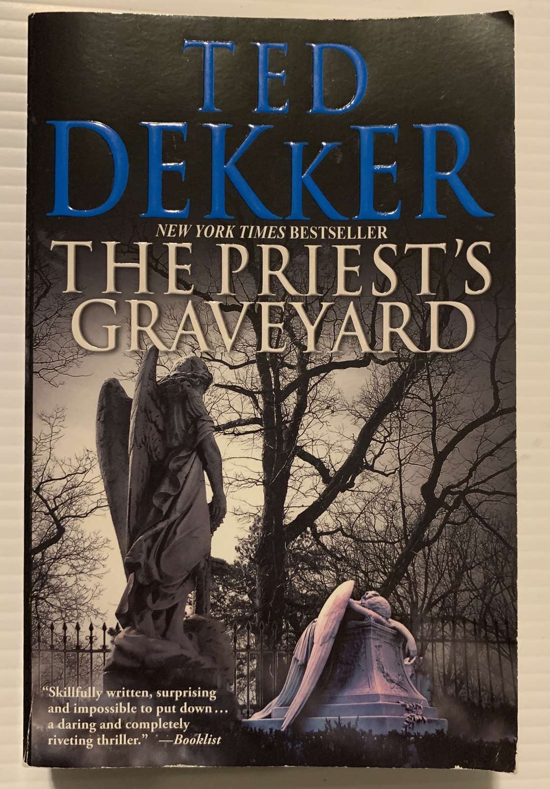 The Priest’s Graveyard by Ted Dekker (2011, Paperback)
