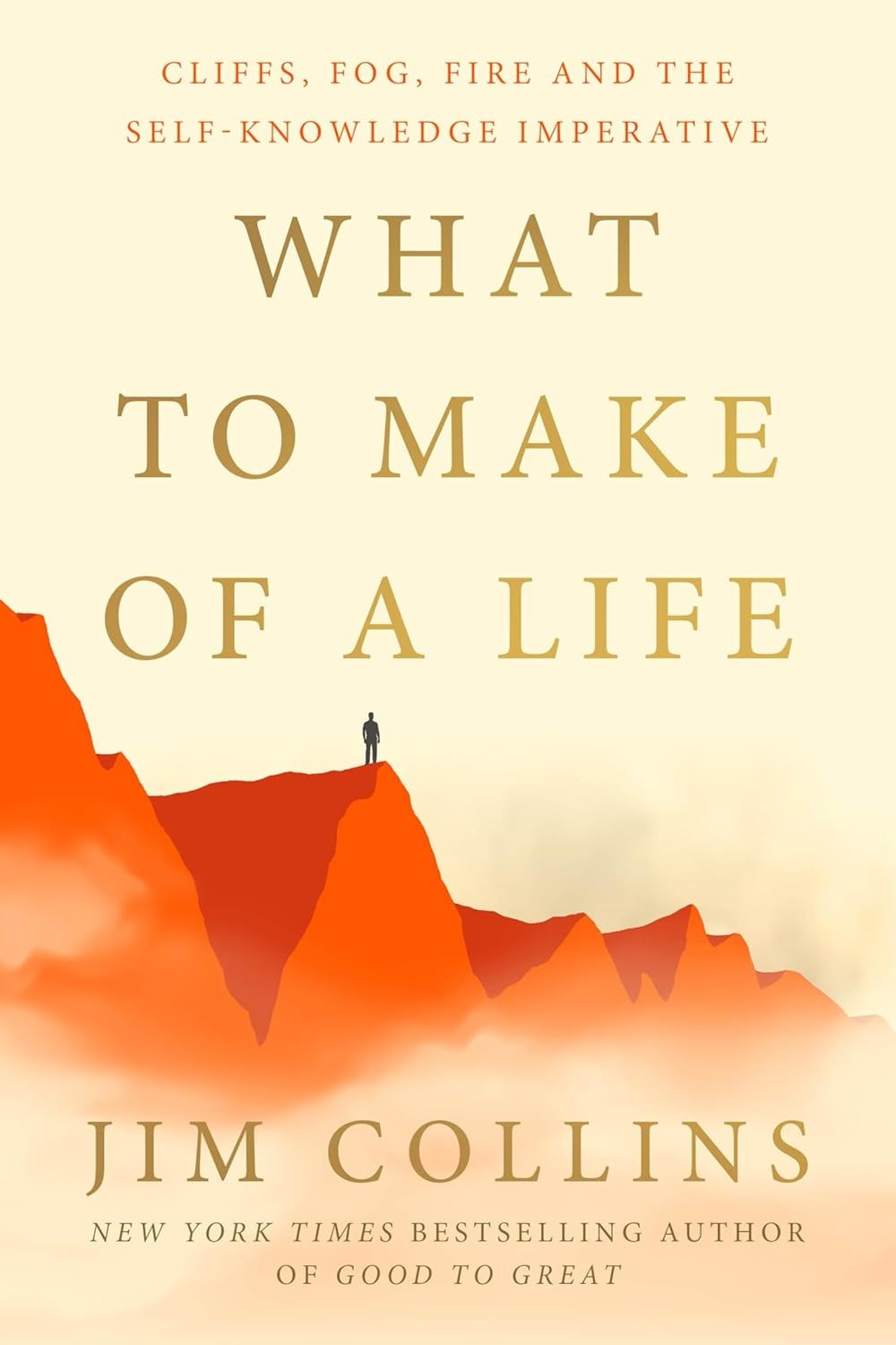 What to Make of a Life : Cliffs, Fog, Fire and the Self-Knowledge Imperative by