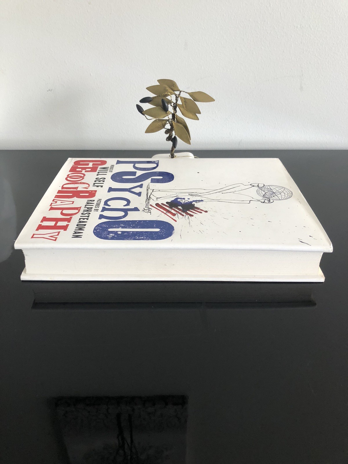Will Self/Ralph Steadman Psycho Geography Bloomsbury 2007 First Ed/F.Print HC LN