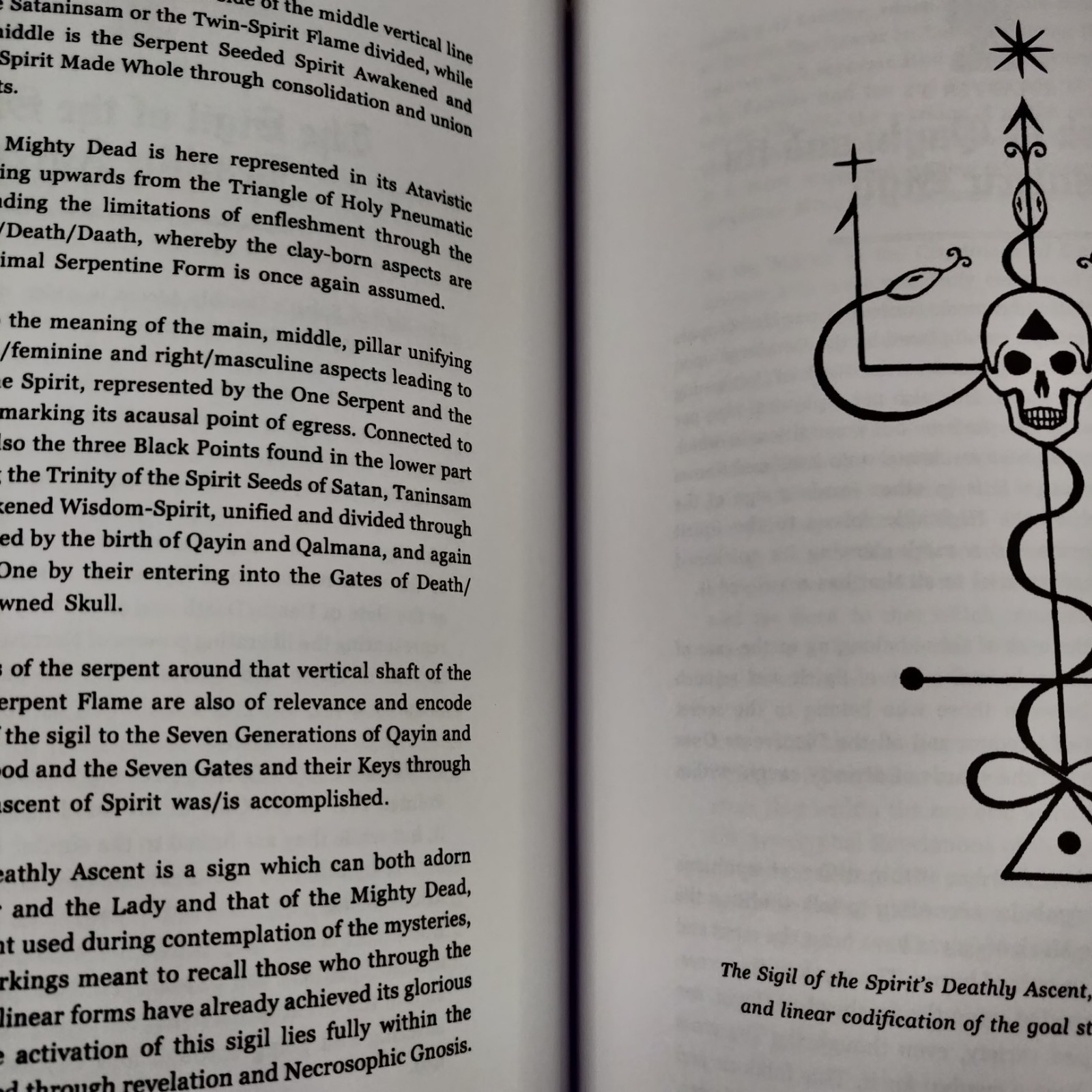Liber Falxifer II N.A-A.218 READ DESCRIPTION