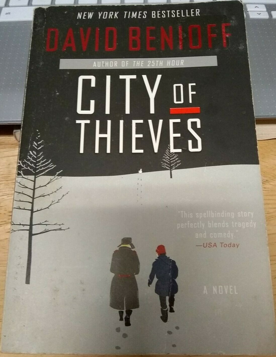 City of Thieves: A Novel (FC85-1-R)