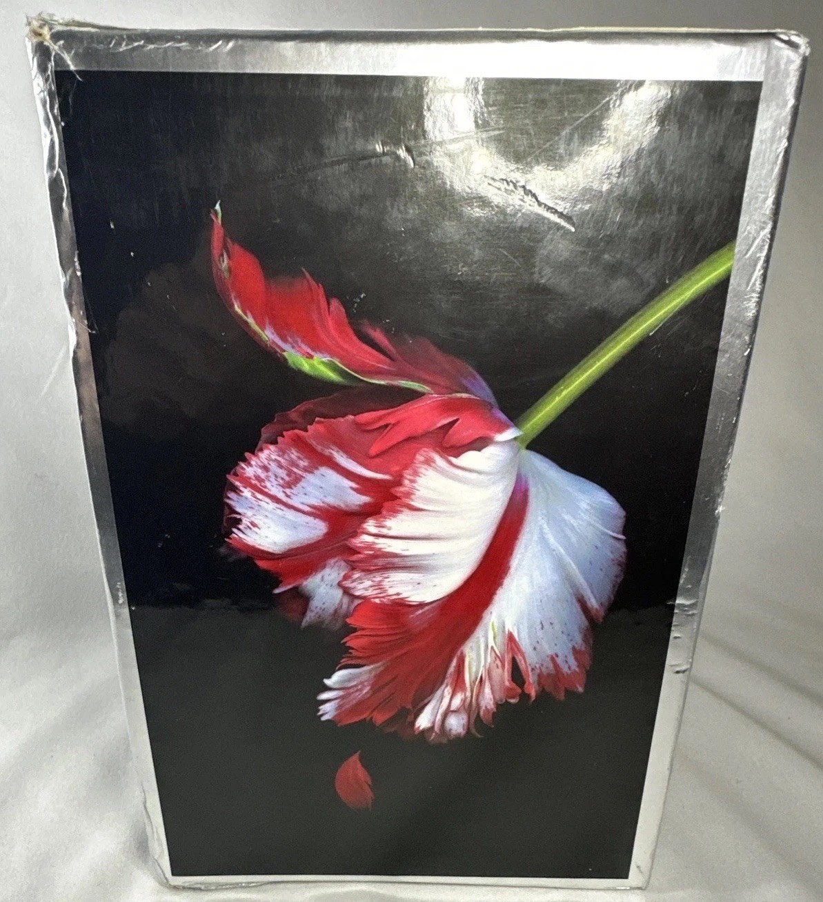 The Twilight Saga Collection Set Stephenie Meyer (Hardcover) First Edition Box