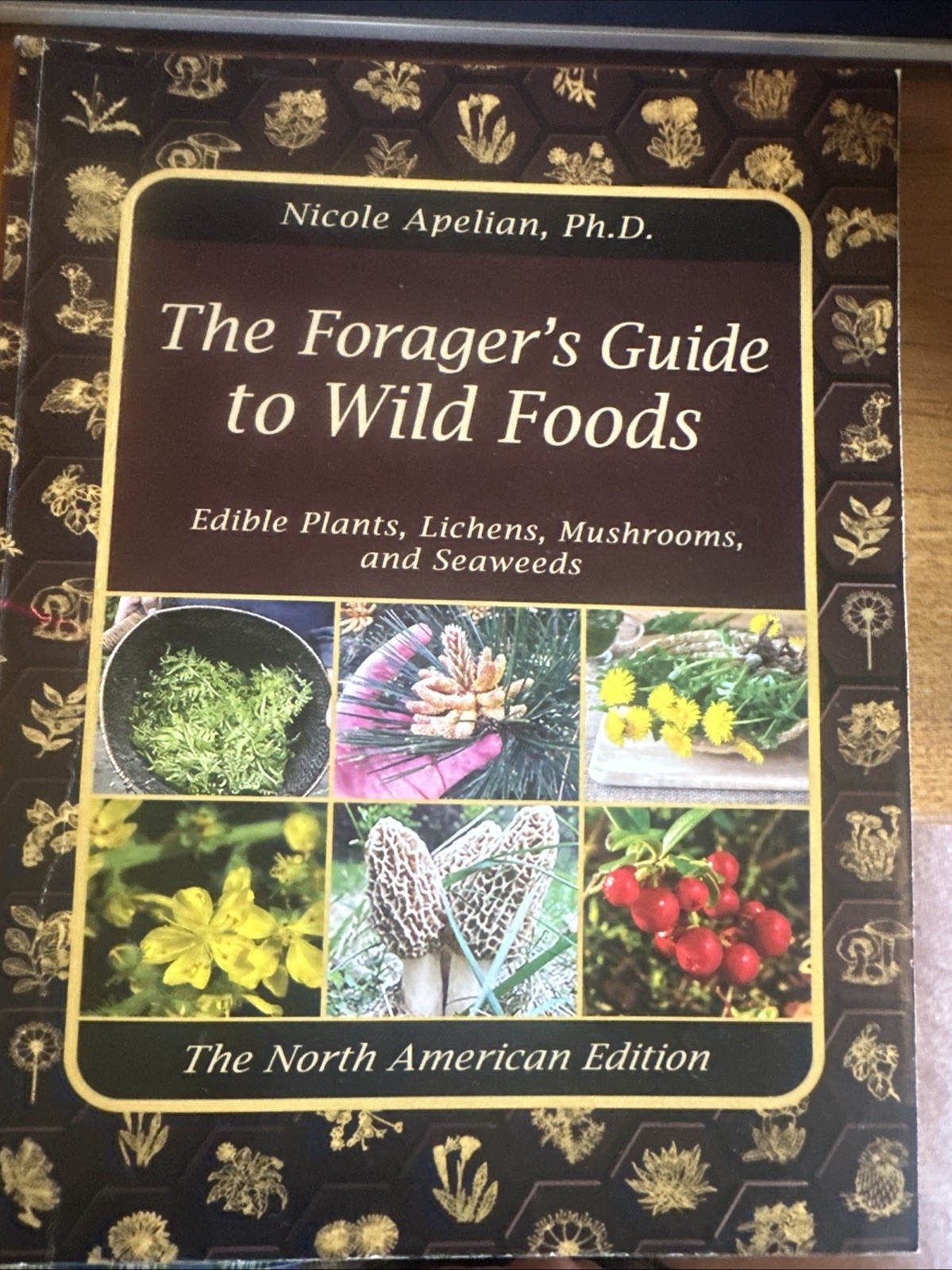 The Forager’s Guide to Wild Foods (paperback with color pictures)