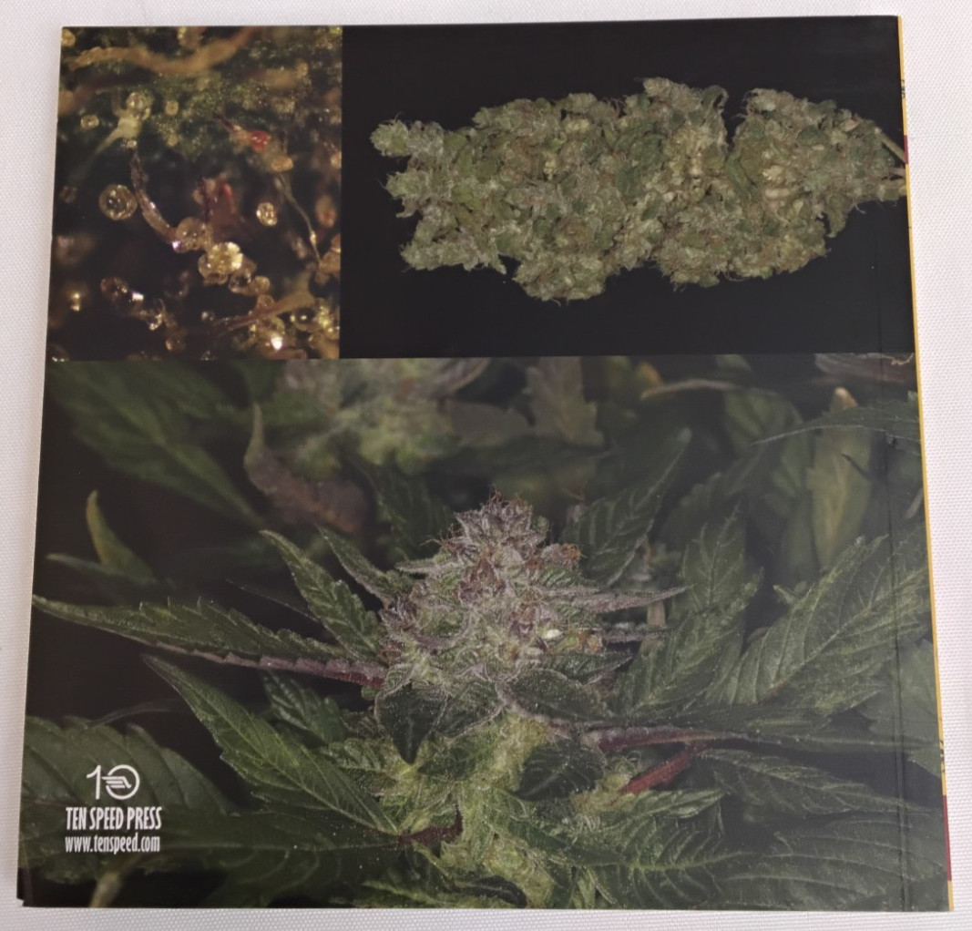 The Cannabible Collection by Jason King Ten Speed Press #B1171