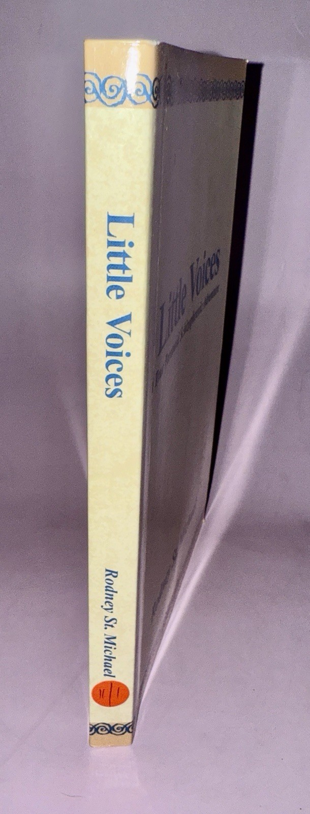 Little Voices: A True Paranoid Schizophrenic Adventure by Rodney St Michael