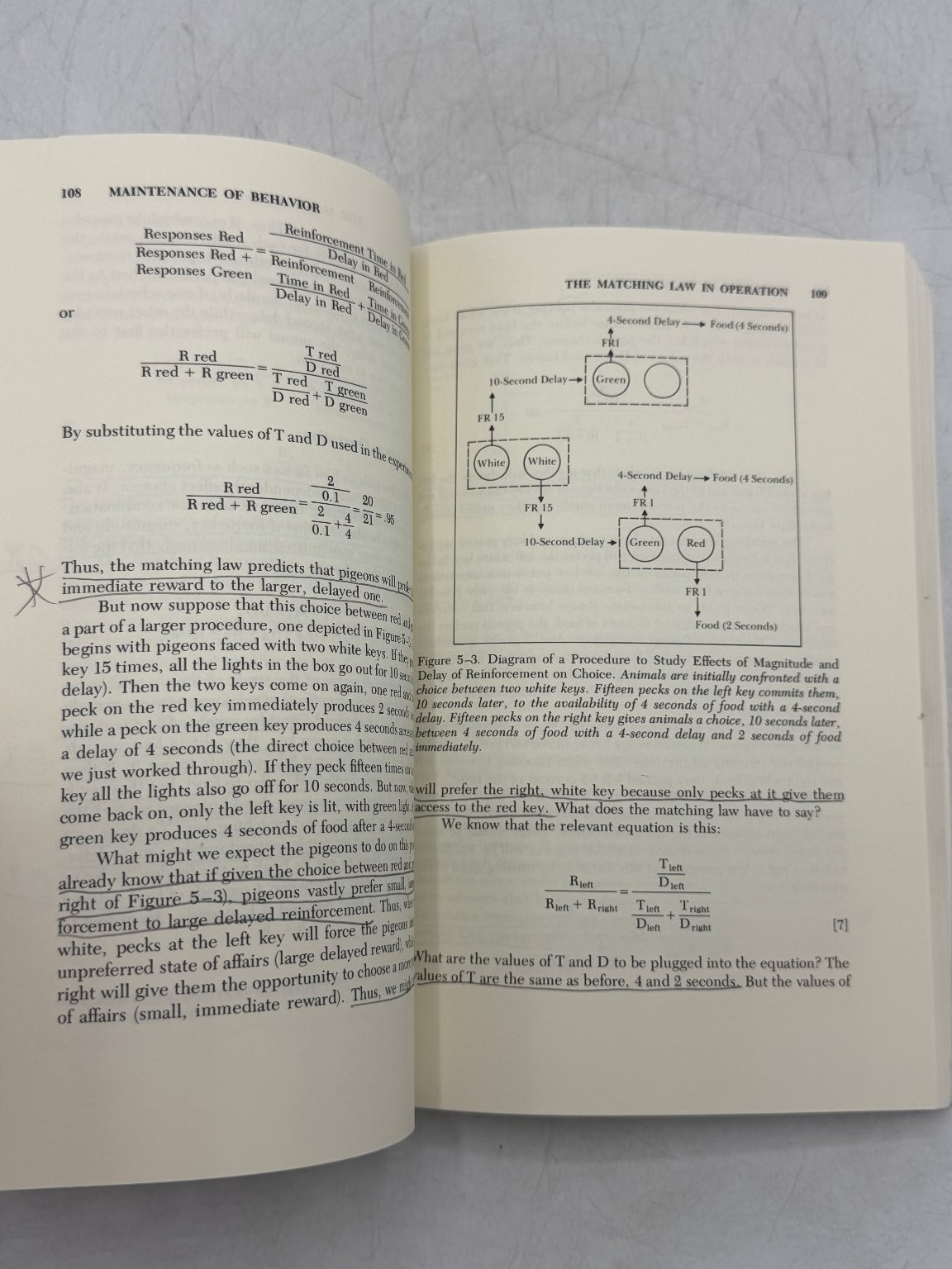 Behaviorism, Science, Human Nature Schwartz Lacey 1982 First Edition Psychology