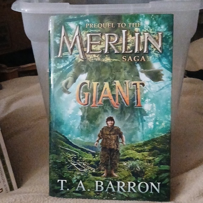 T. A. Barron Giant Paperback Fantasy Novel Ages 9-12 Young Adults Merlin Saga