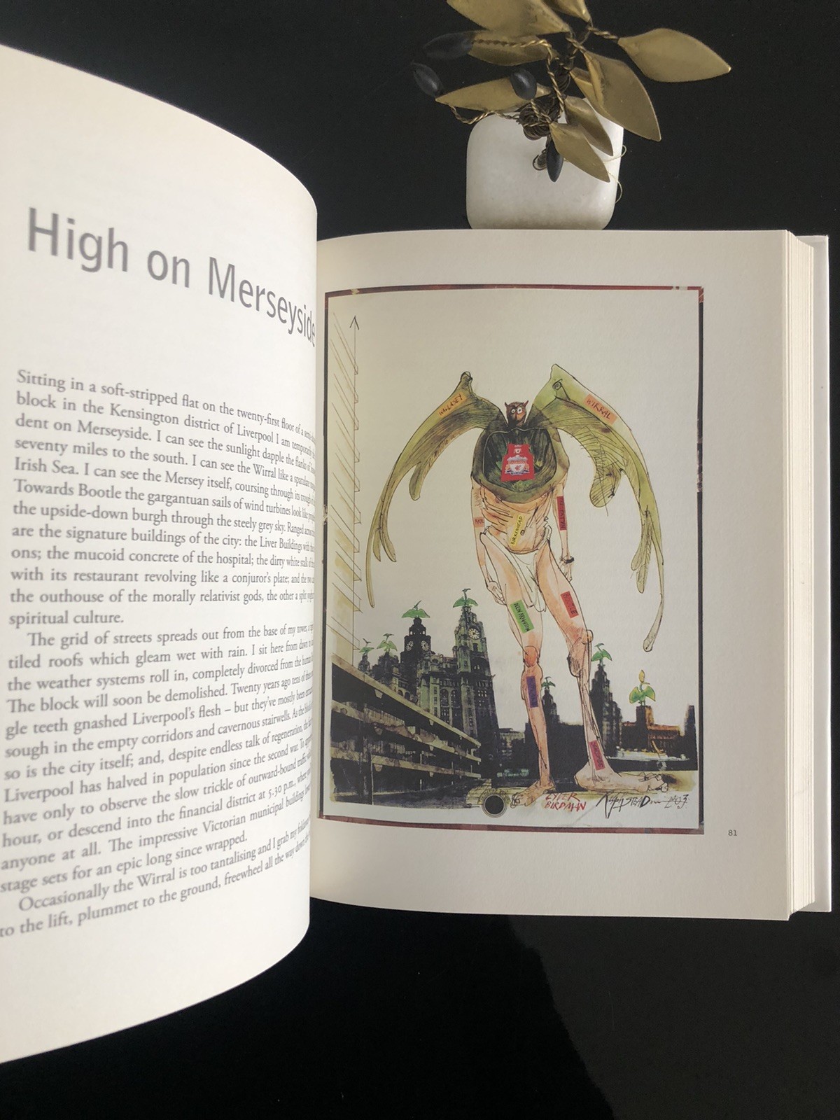 Will Self/Ralph Steadman Psycho Geography Bloomsbury 2007 First Ed/F.Print HC LN