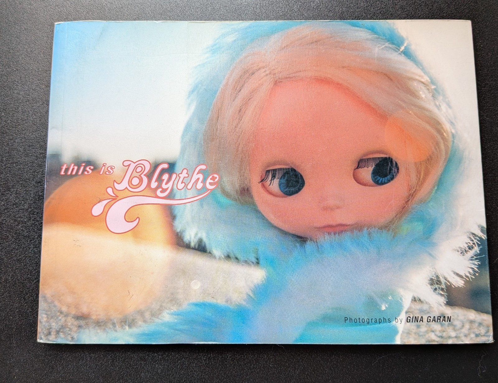 This Is Blythe Gina Garan Photography Book – Please See Description and Pictures