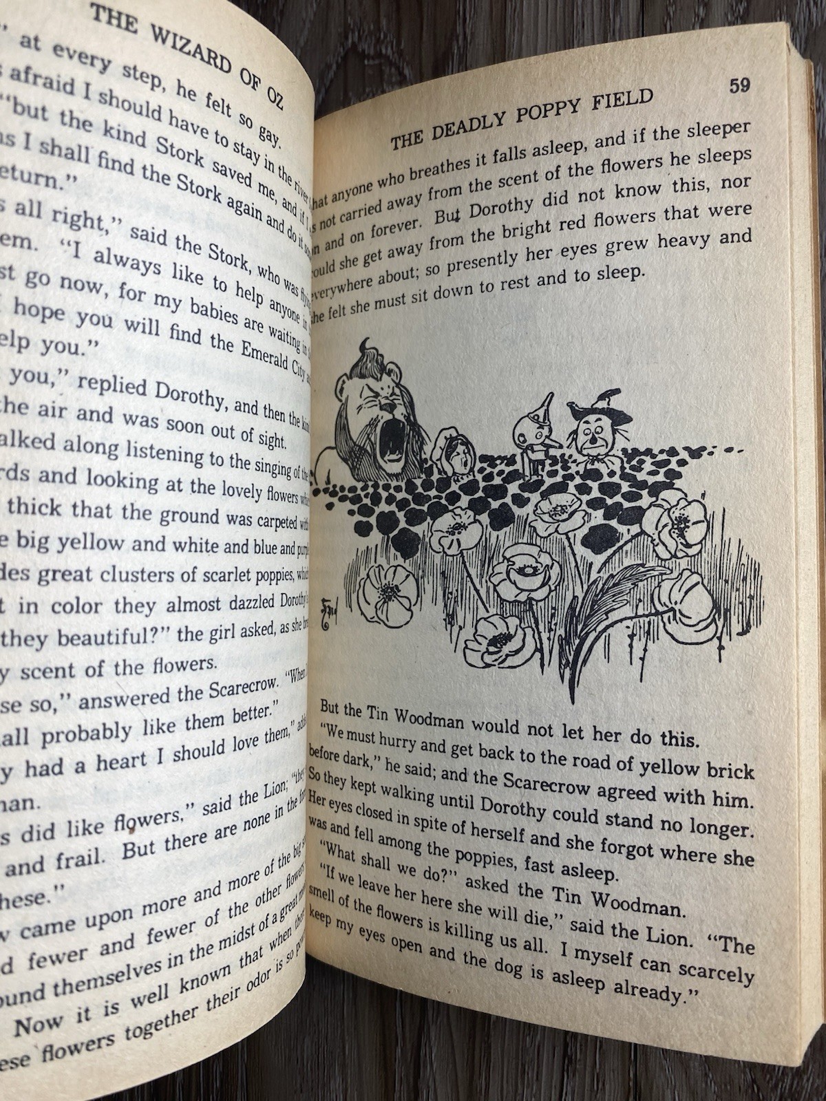 The Wizard Of Oz L. Frank Baum Vintage Paperback Illustrated Classic