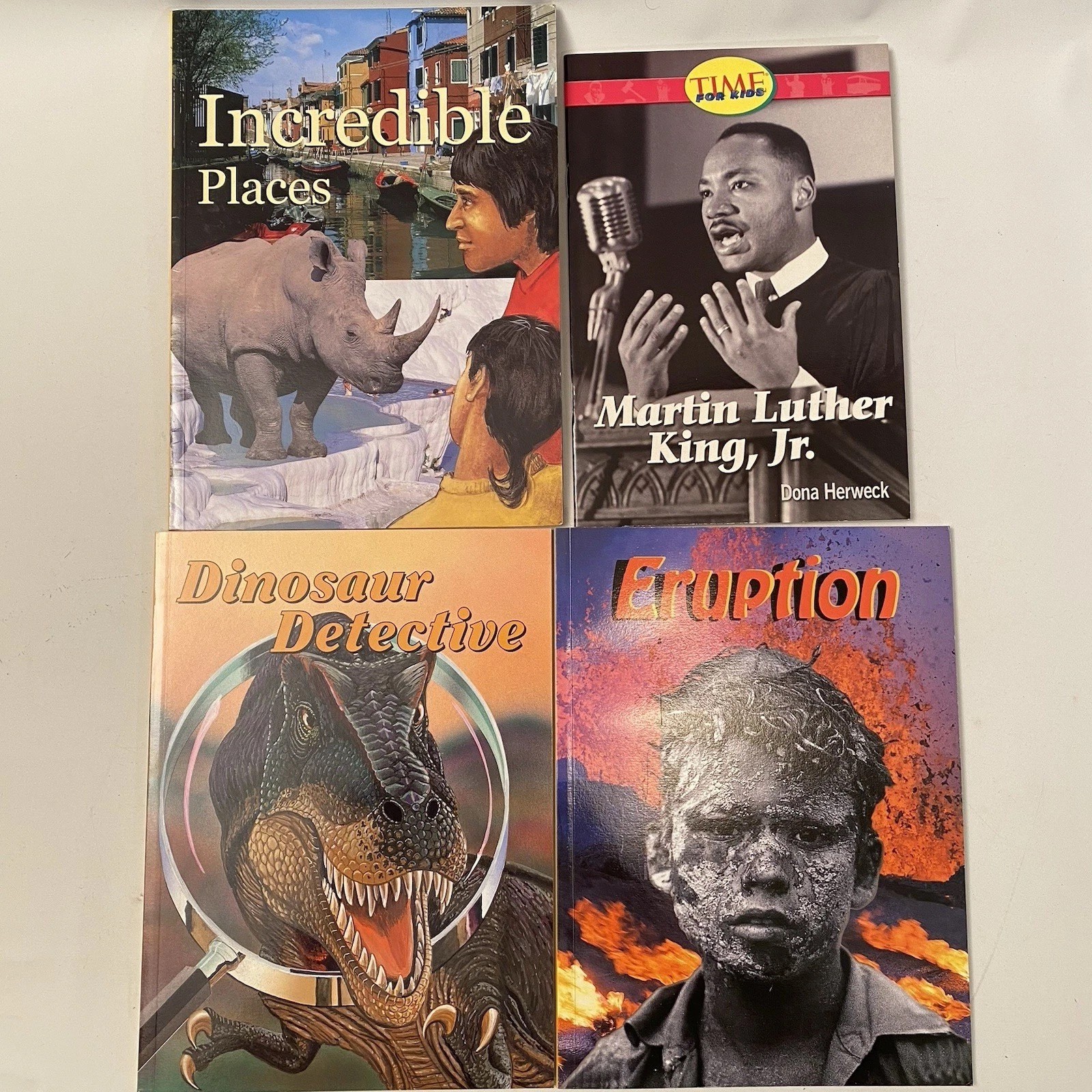 Kids Book Lot Of 4 Grade 2-3 Age 7-8 Dinosaur Detective Volcanoes Places MLK