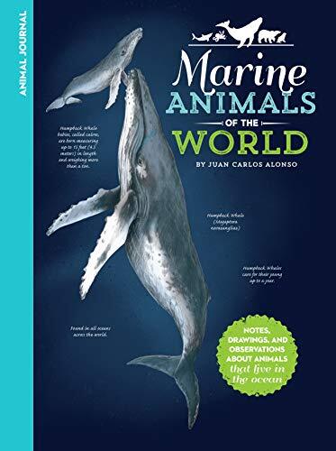 Animal Journal: Marine Animals of the World: … by Alonso, Juan Carlos Hardback