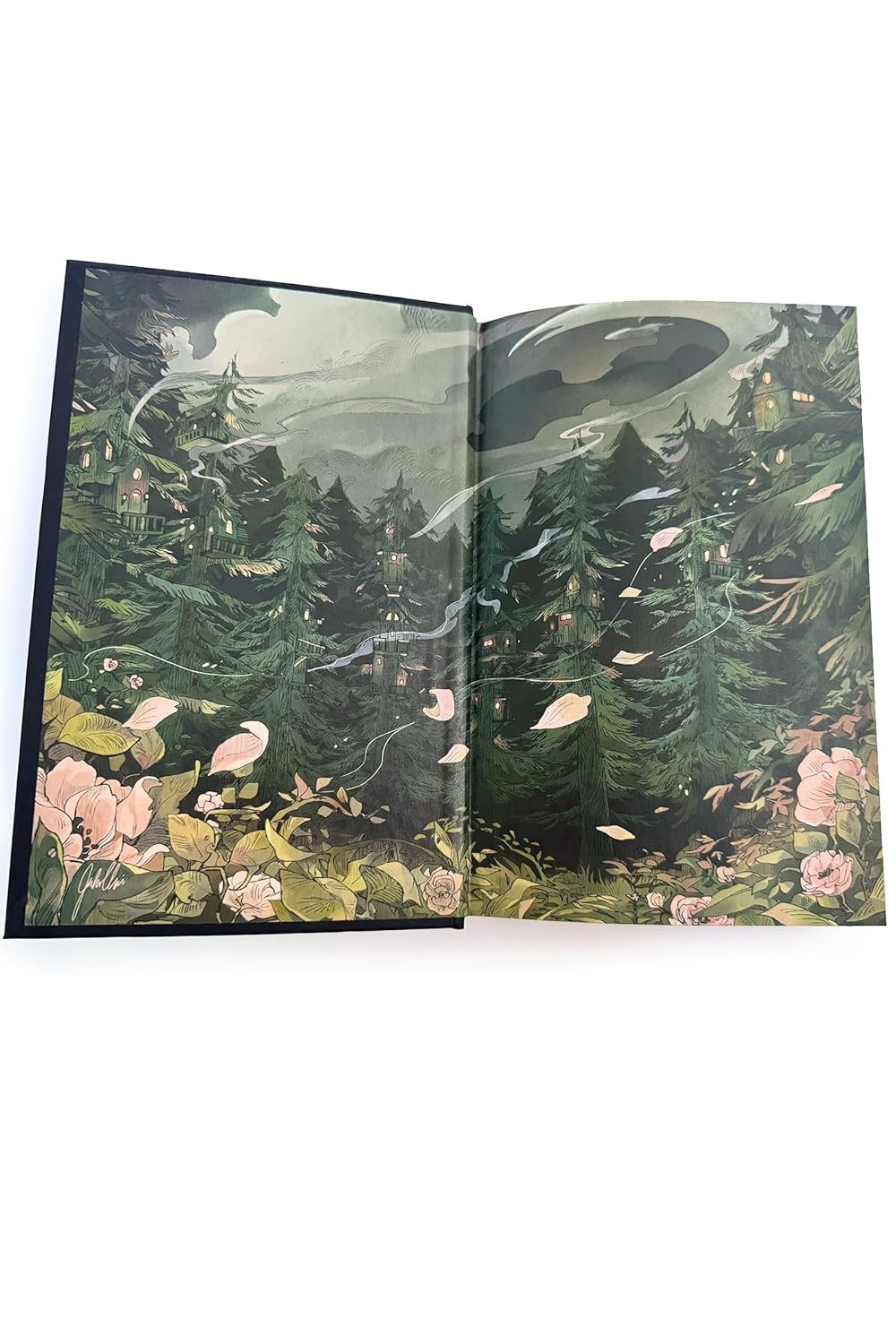 Shield of Sparrows by Devney Perry (2025, Hardcover)