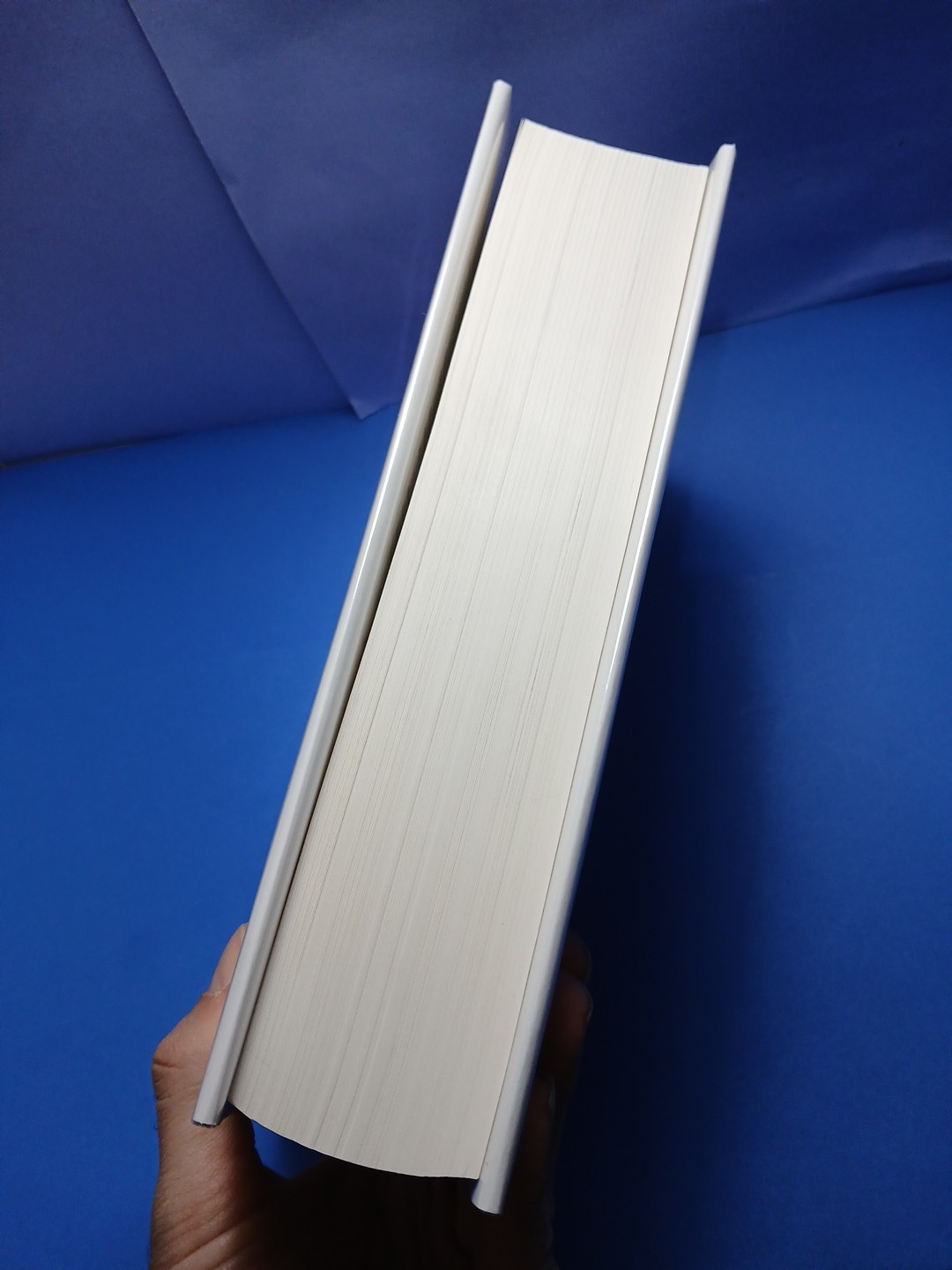 Thomas Pynchon – Against the Day – First Edition, 1st Printing The Penguin Press