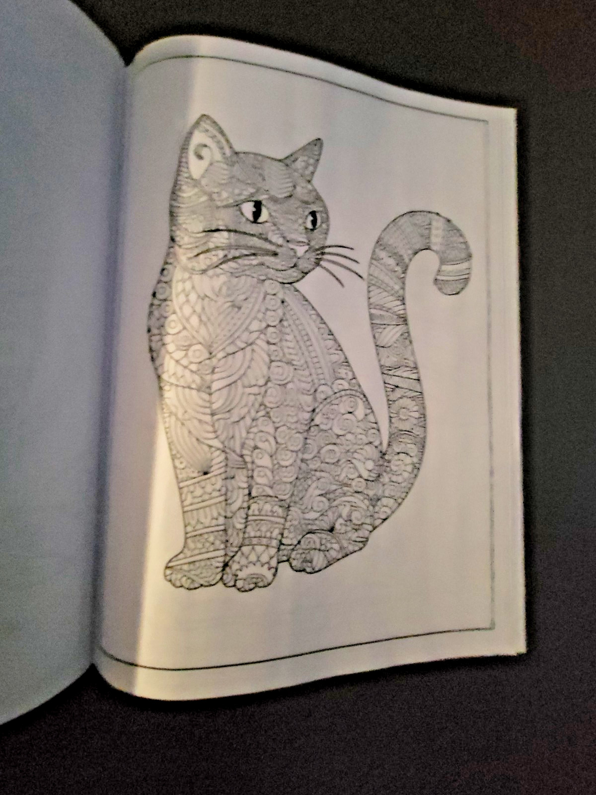 Cat Coloring -32 Spring-Inspired Designs-Relaxing & Inspirational Adult Coloring
