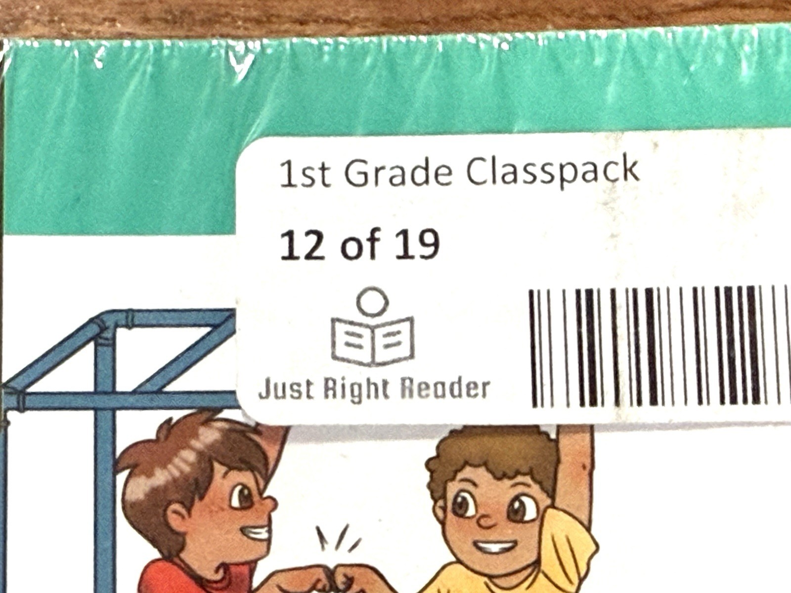 Just Right Reader 1st Grade Class Pack Set 12 of 19 /36 individual books