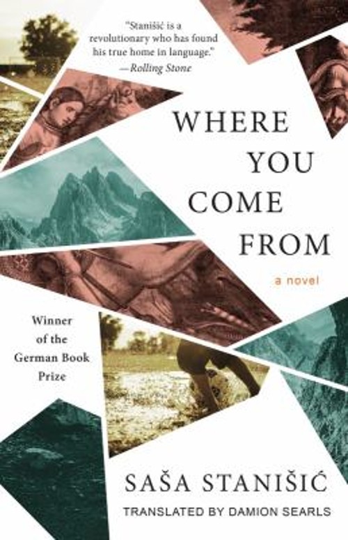 Where You Come From Paperback Sasa Stanisic