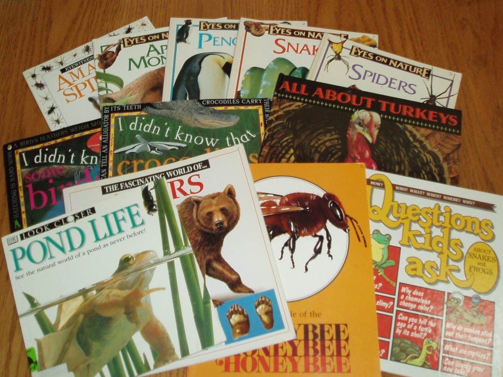 Animals Insects Reptiles *ages 5-10 *Choose from a variety *Please Read Listing.