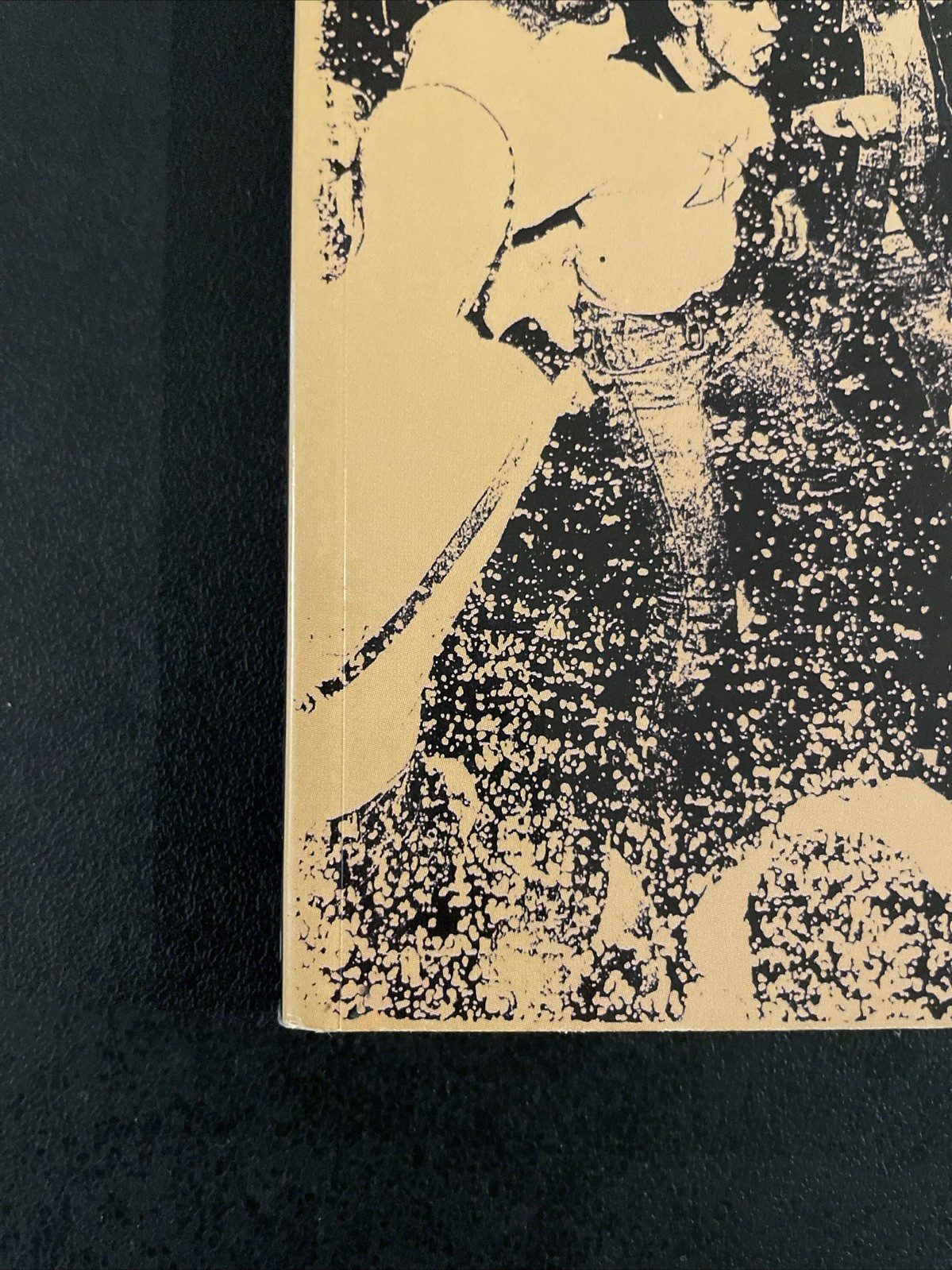 Philosophy of Punk : More Than Noise! by Craig O’Hara – 1999 RARE 2nd Edition