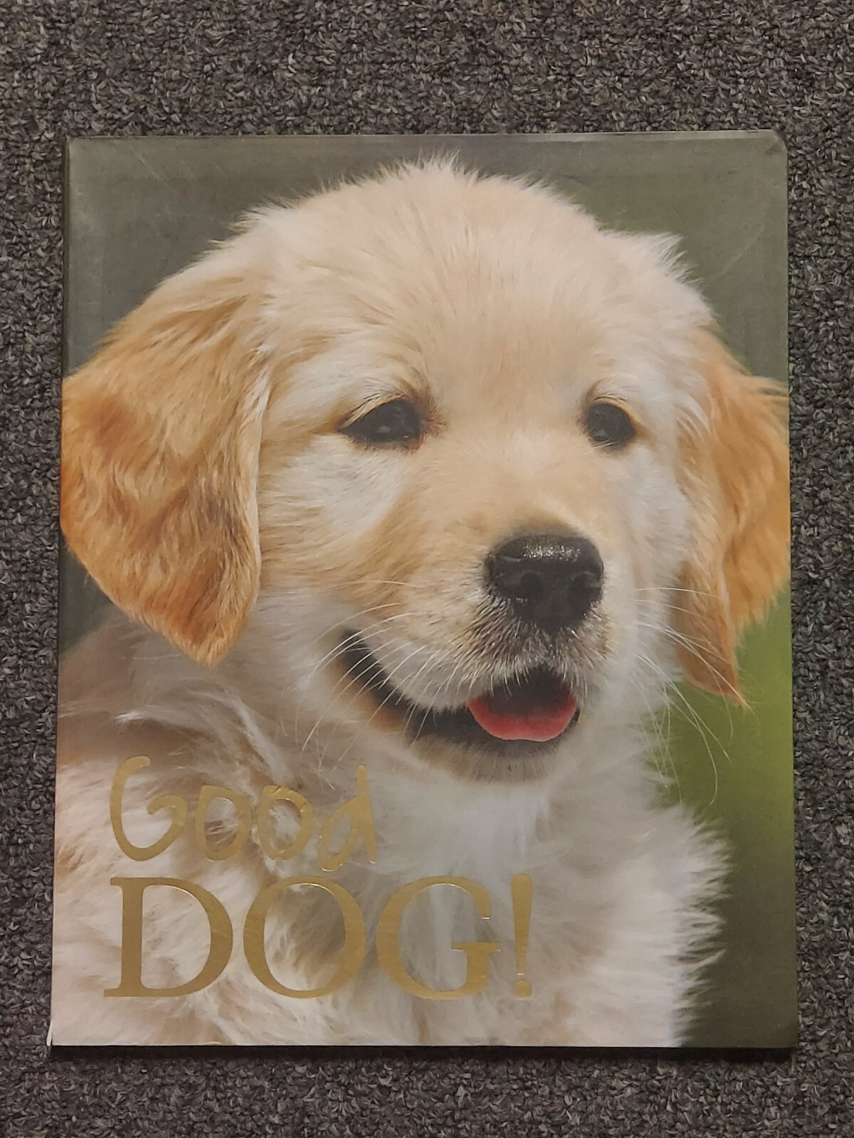 Good Dog Large 12 X 9 1/2 inch Dog Breed Picture Book w/ Center Puppy Fold Out.