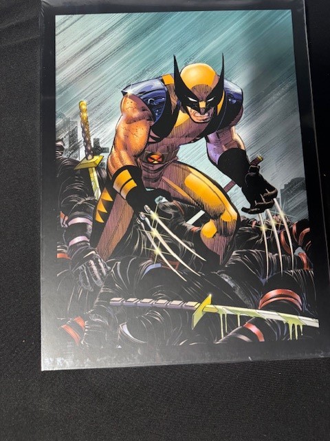 Marvel’s Deadpool and Wolverine: The Illustrated History Box Set Hardcover