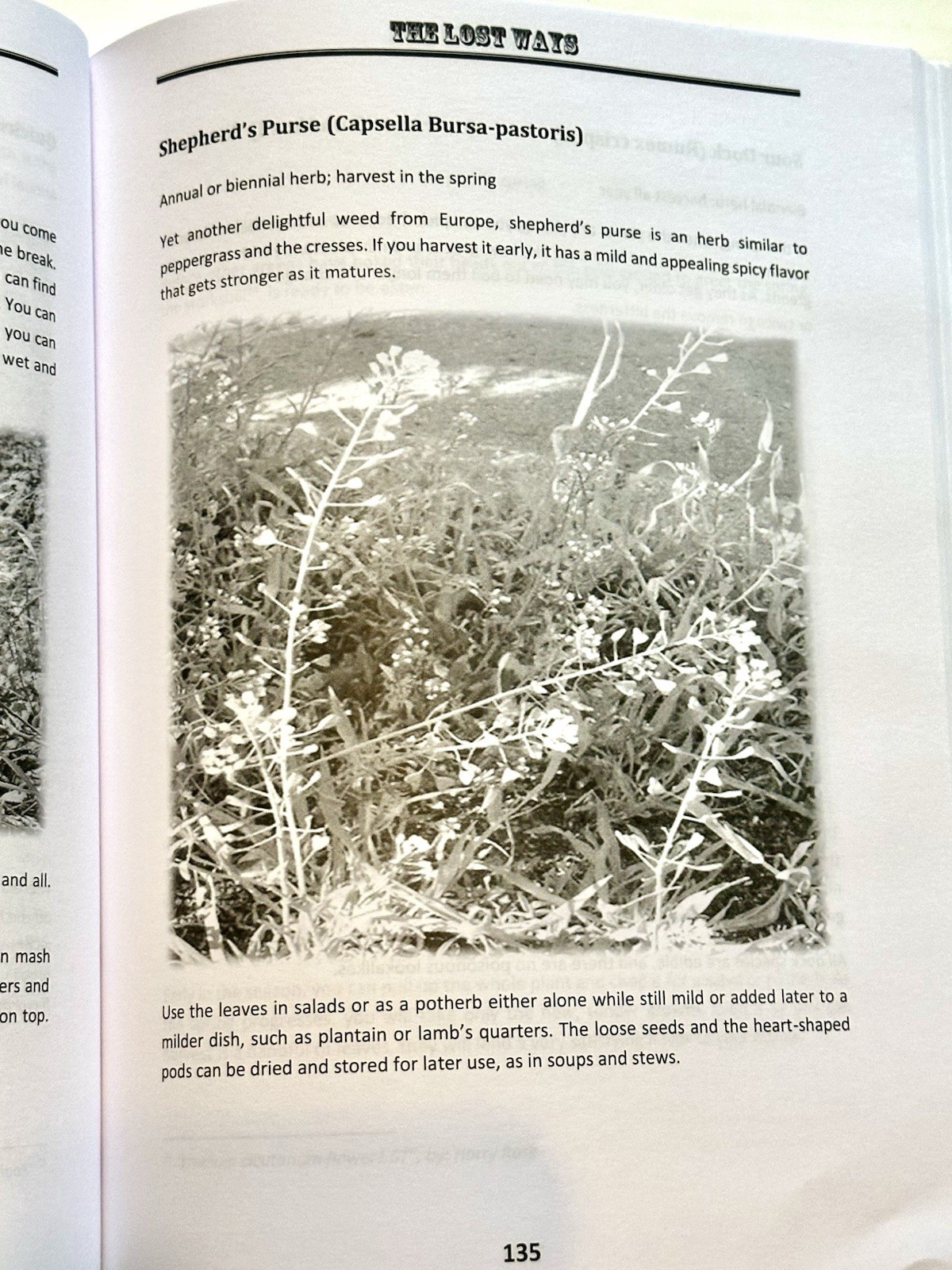 The Lost Ways, Fourth Edition (Paperback, 2019)