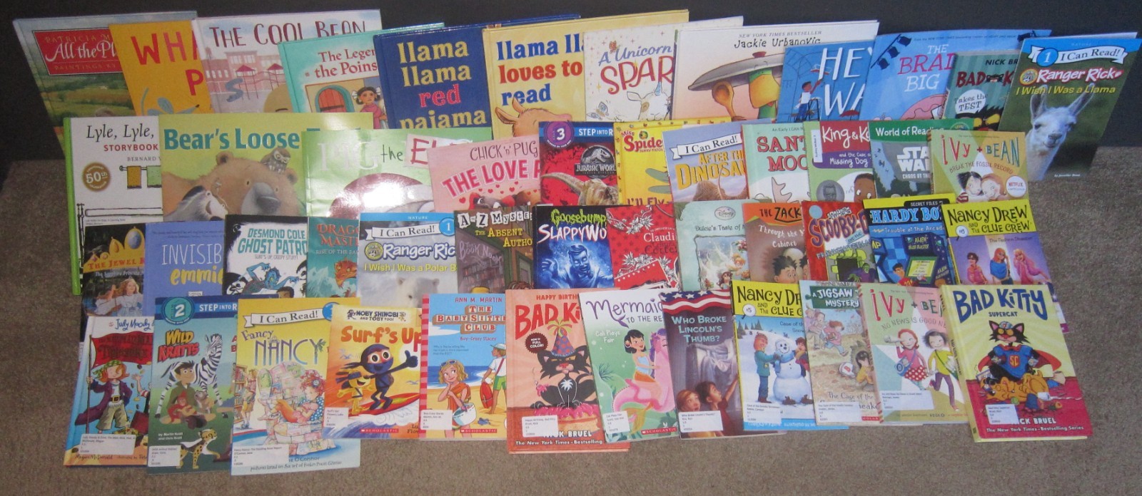 50 AR Accelerated Reader Titles – Reading Levels 1.8 – 3.9 Labeled & Ready!