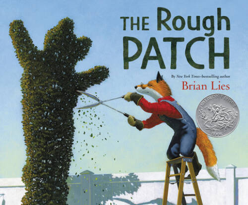 The Rough Patch – Hardcover By Lies, Brian – GOOD