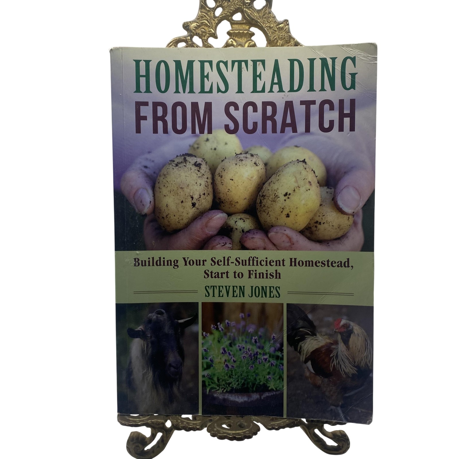 Homesteading From Scratch Steven Jones Skyhorse Green Trade PB Homestead Guide