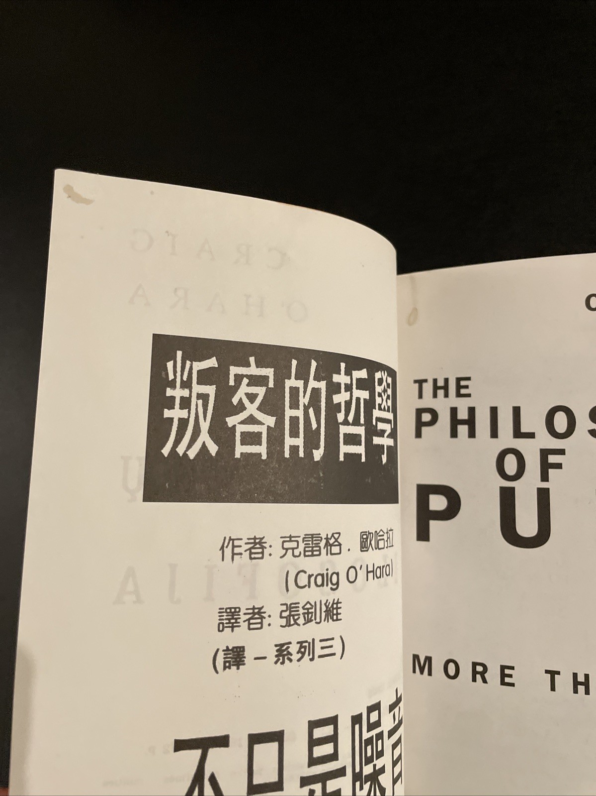 Philosophy of Punk : More Than Noise! by Craig O’Hara – 1999 RARE 2nd Edition