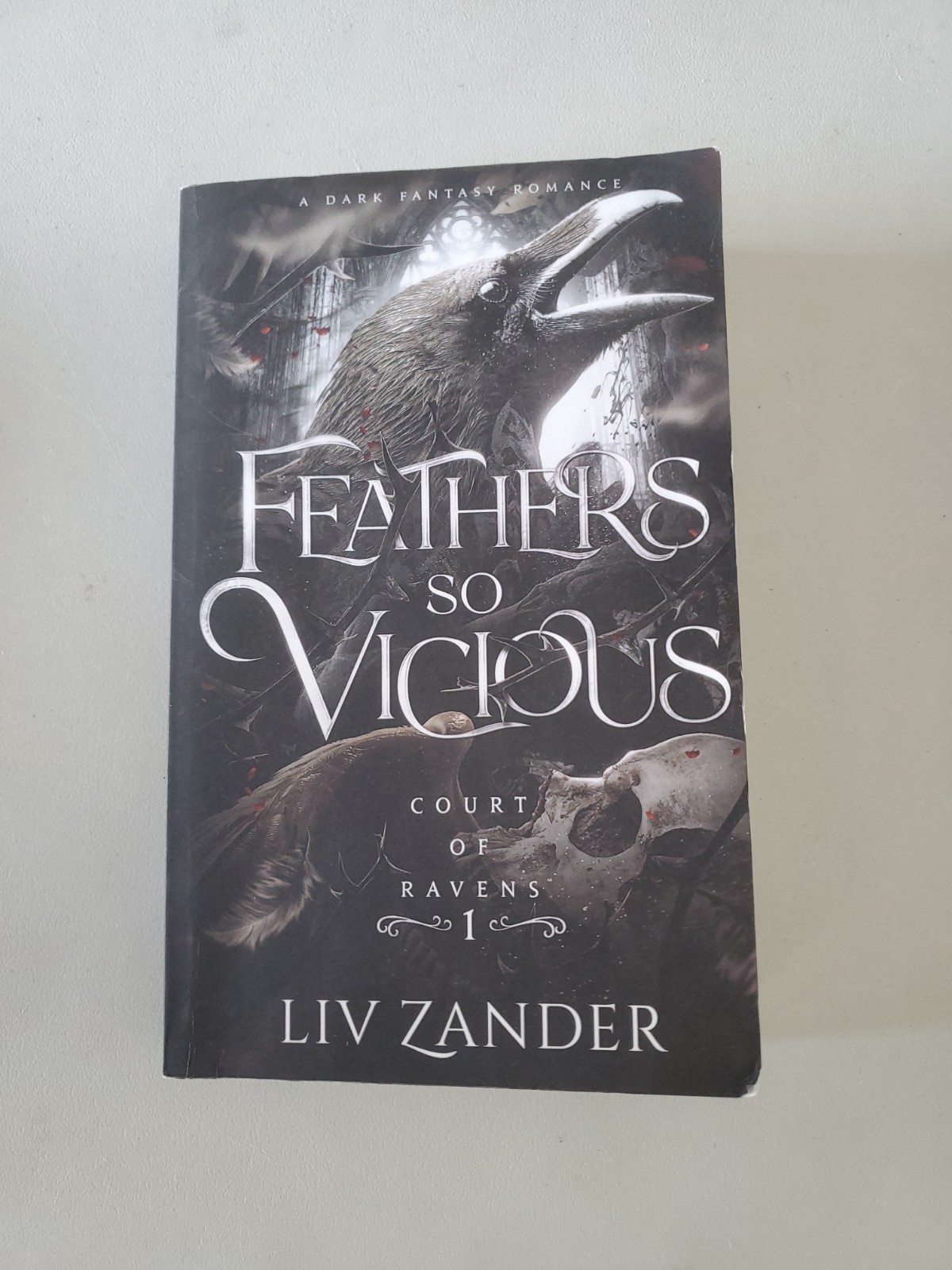 Feathers so Vicious: A Dark Fantasy – Paperback, by Zander Liv
