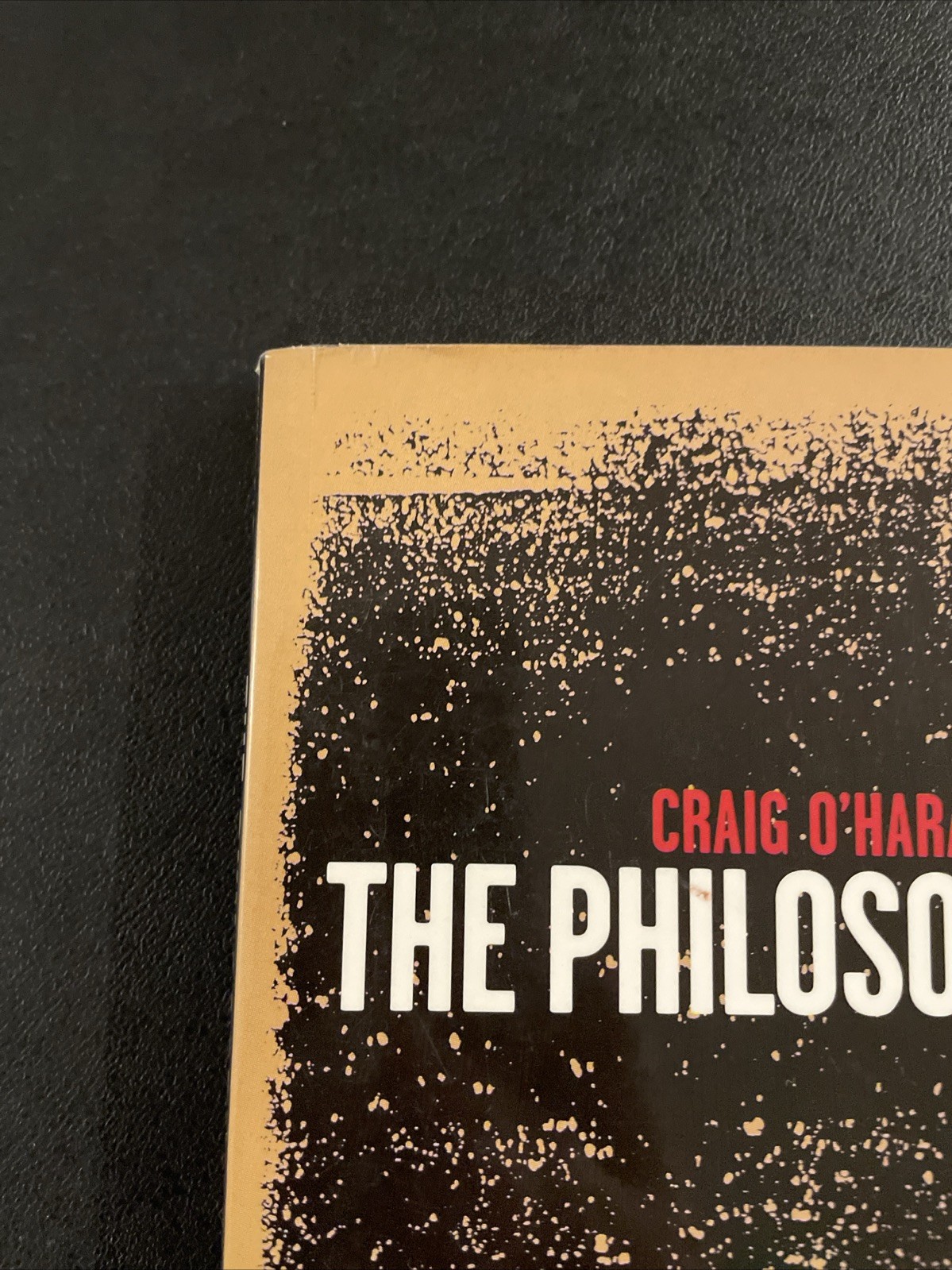 Philosophy of Punk : More Than Noise! by Craig O’Hara – 1999 RARE 2nd Edition