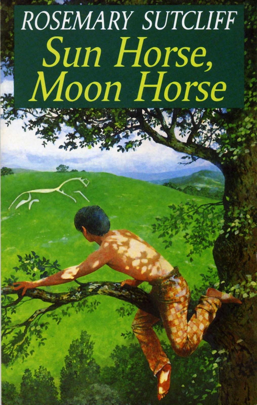 Sun Horse Moon Horse (Red Fox Older Fiction) – paperback Sutcliff, Rosemary