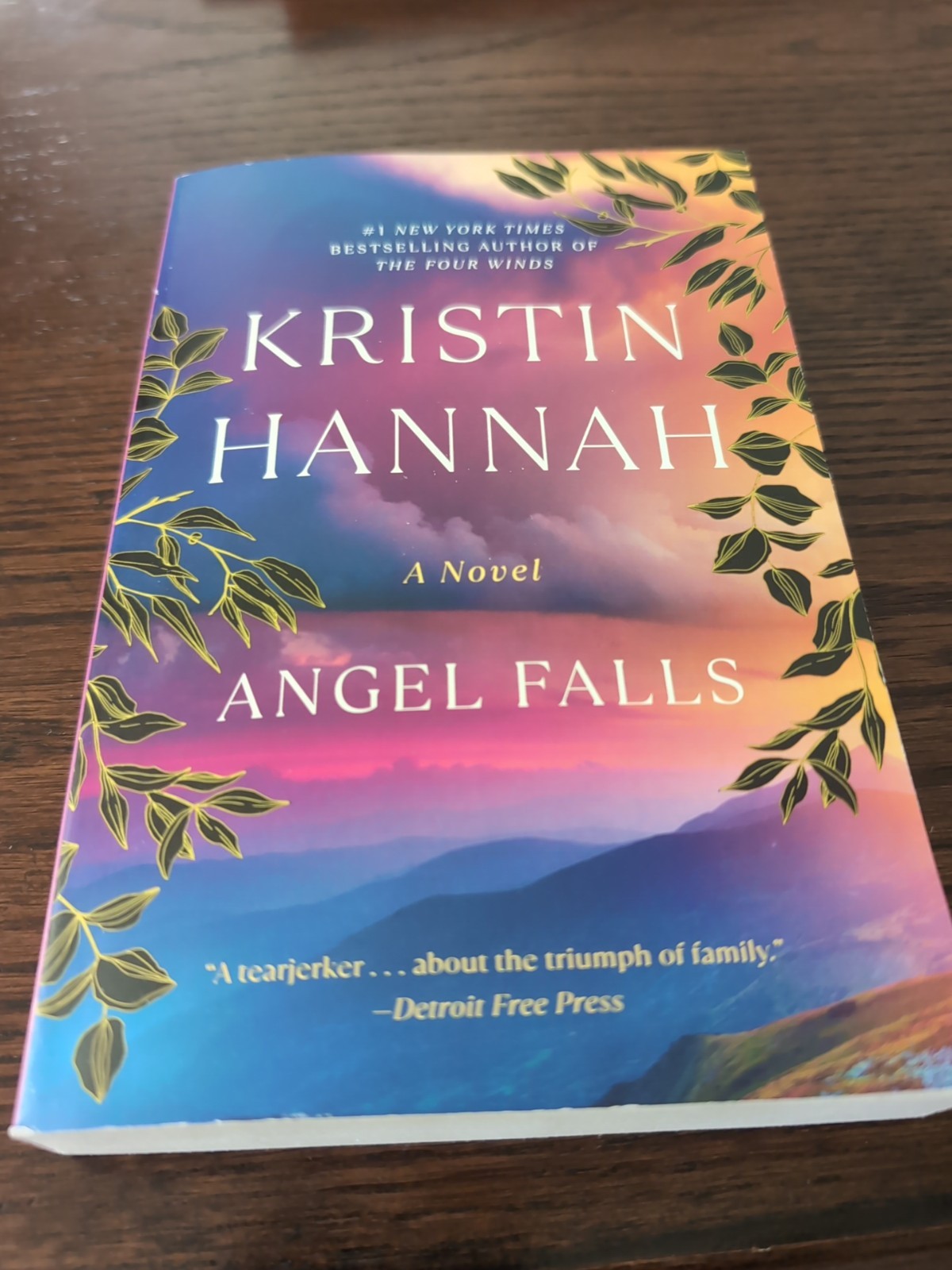 Angel Falls a Novel by Kristin Hannah (2005, Trade Paperback)
