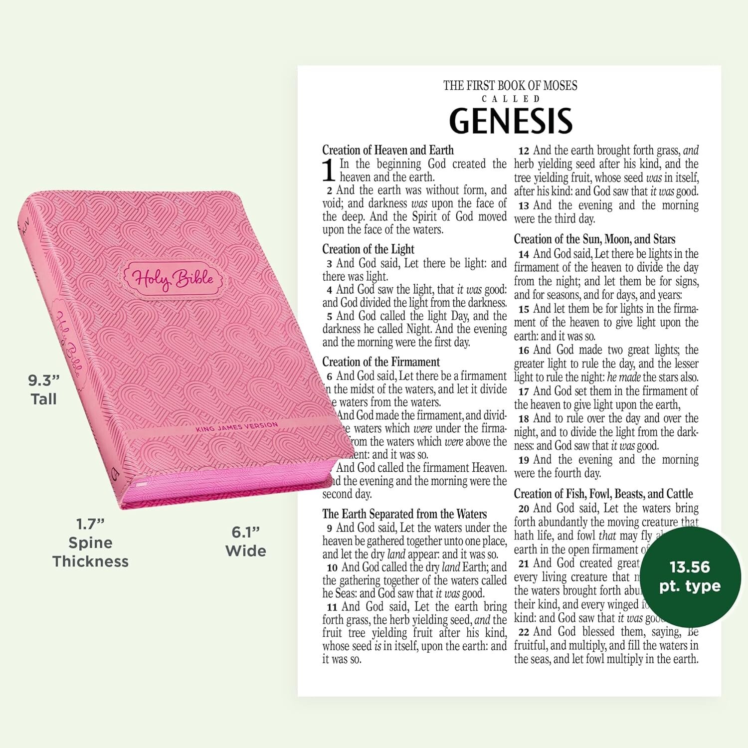KJV Kids Bible, large print 40 Pages Full Color Study Helps, Presentation index