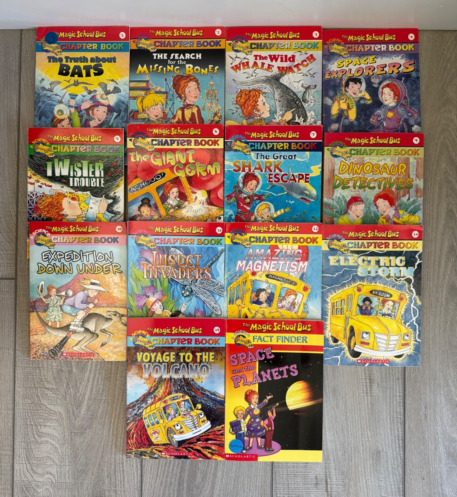 Magic School Bus Chapter Books Science Series Lot Of 14 (#1-12, 14, 15, +)
