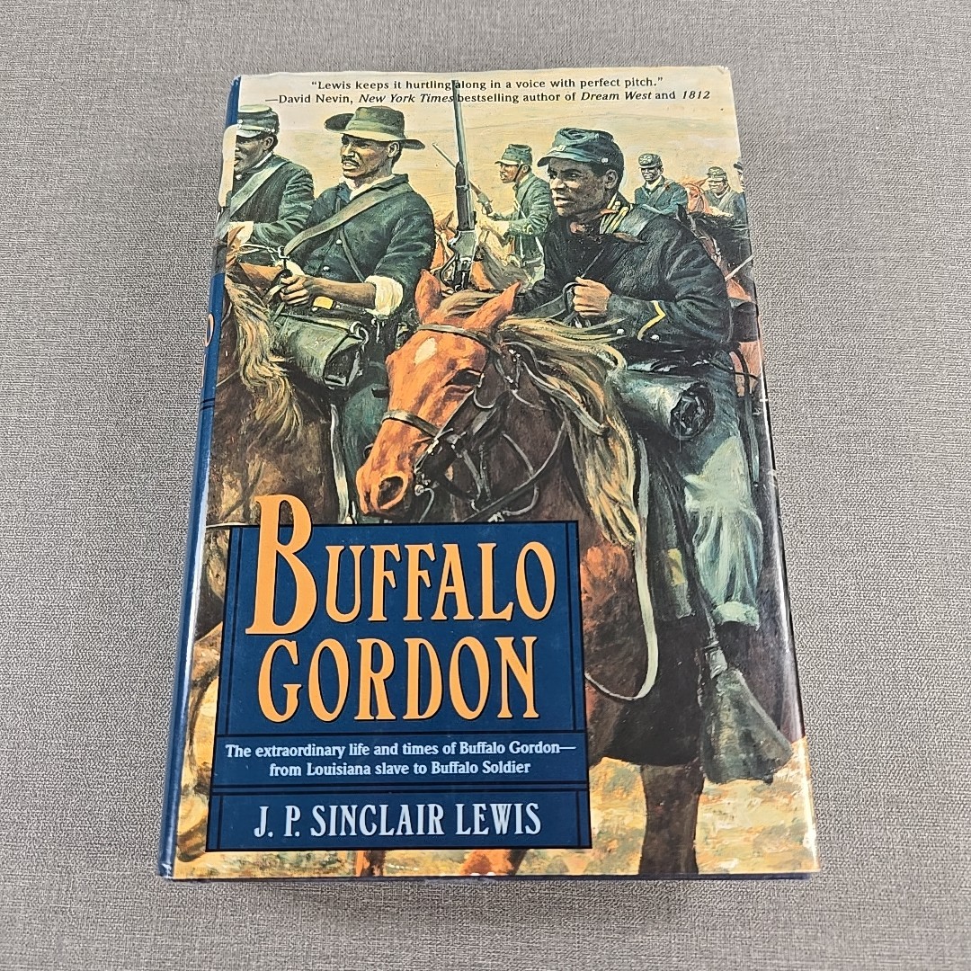 Buffalo Gordon J P Sinclair Lewis 2001 Vintage Hardcover Book HCDJ