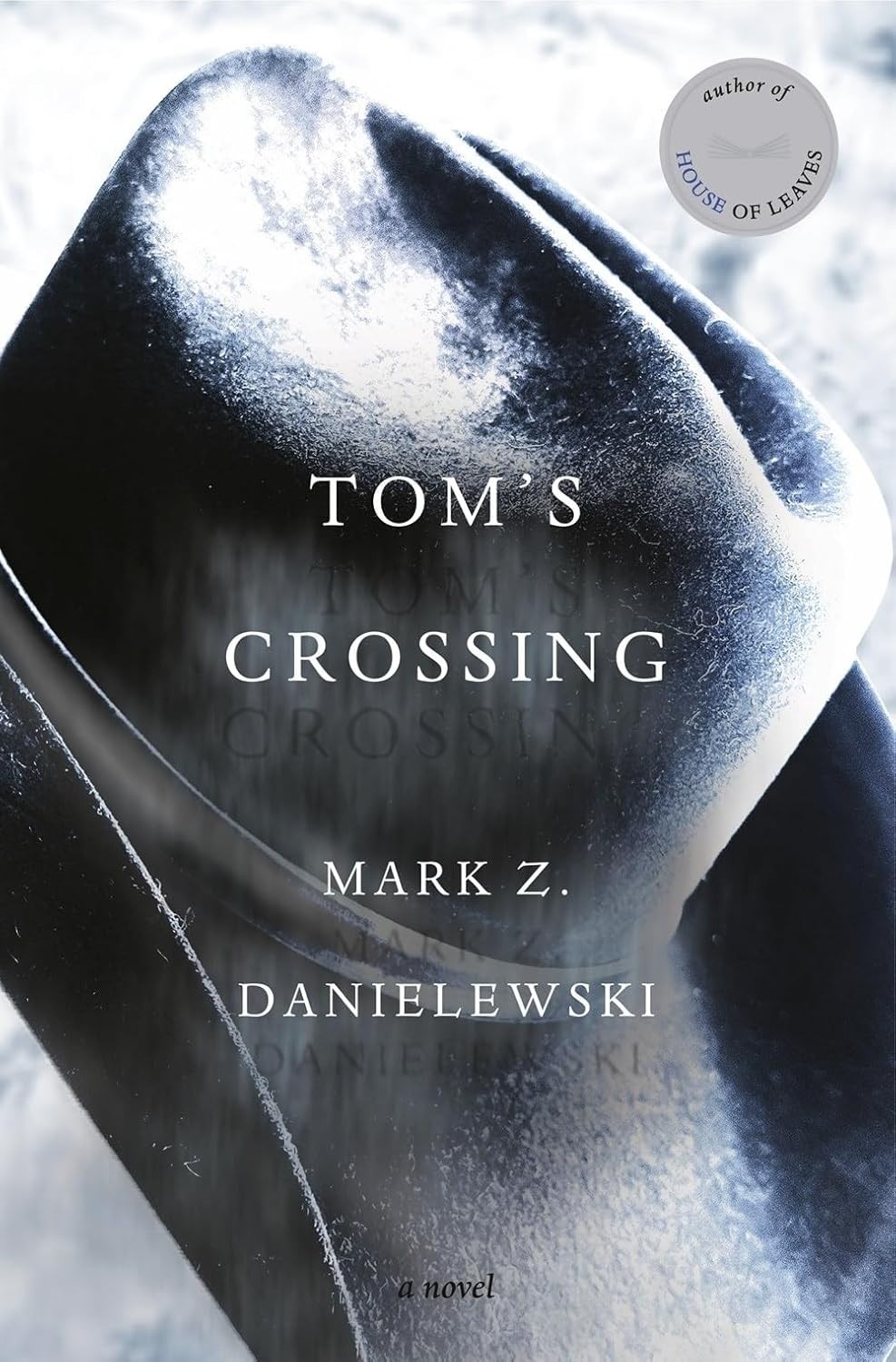 Tom’s Crossing : A Novel by Mark Z. Danielewski (2025, Hardcover)