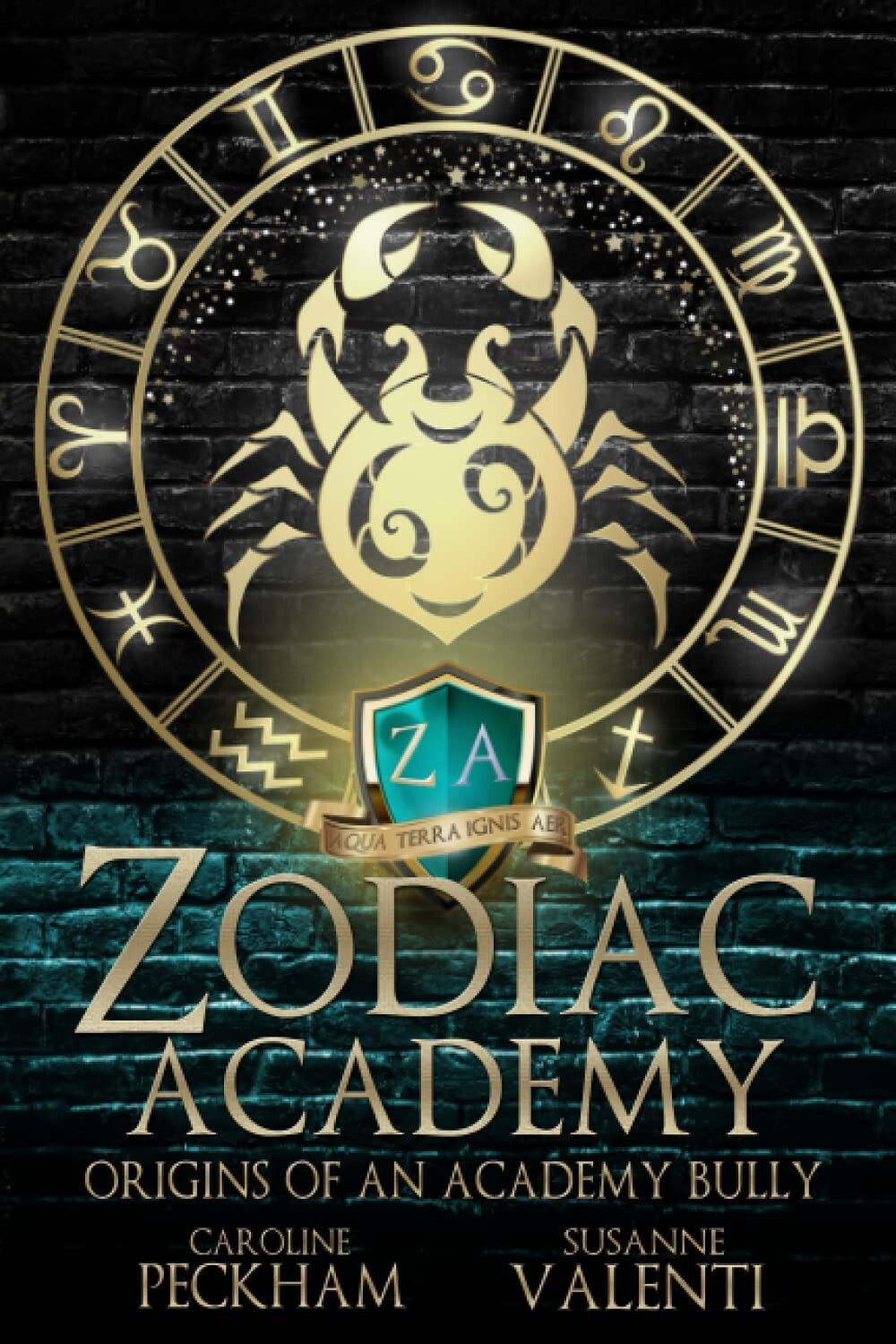 Zodiac Academy: Origins of an Academy Bully Paperback – July 13, 2022