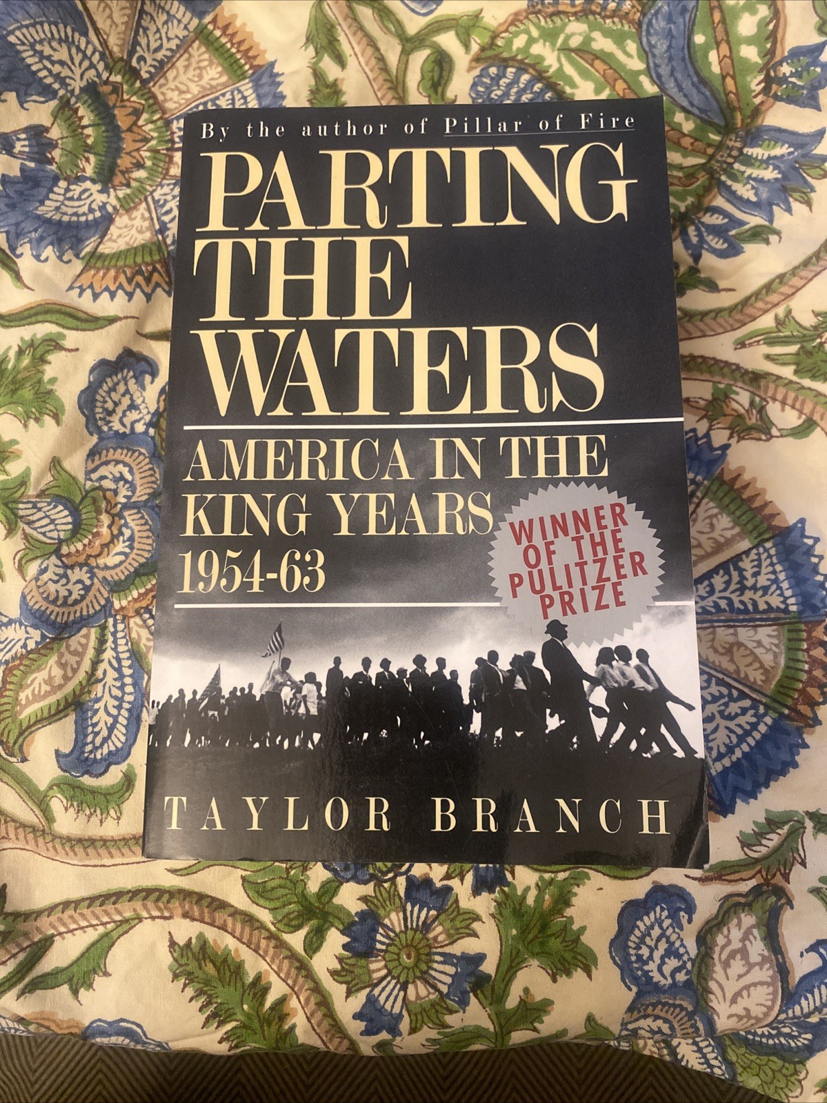 Parting The Waters America I Be the King Years 1954-63