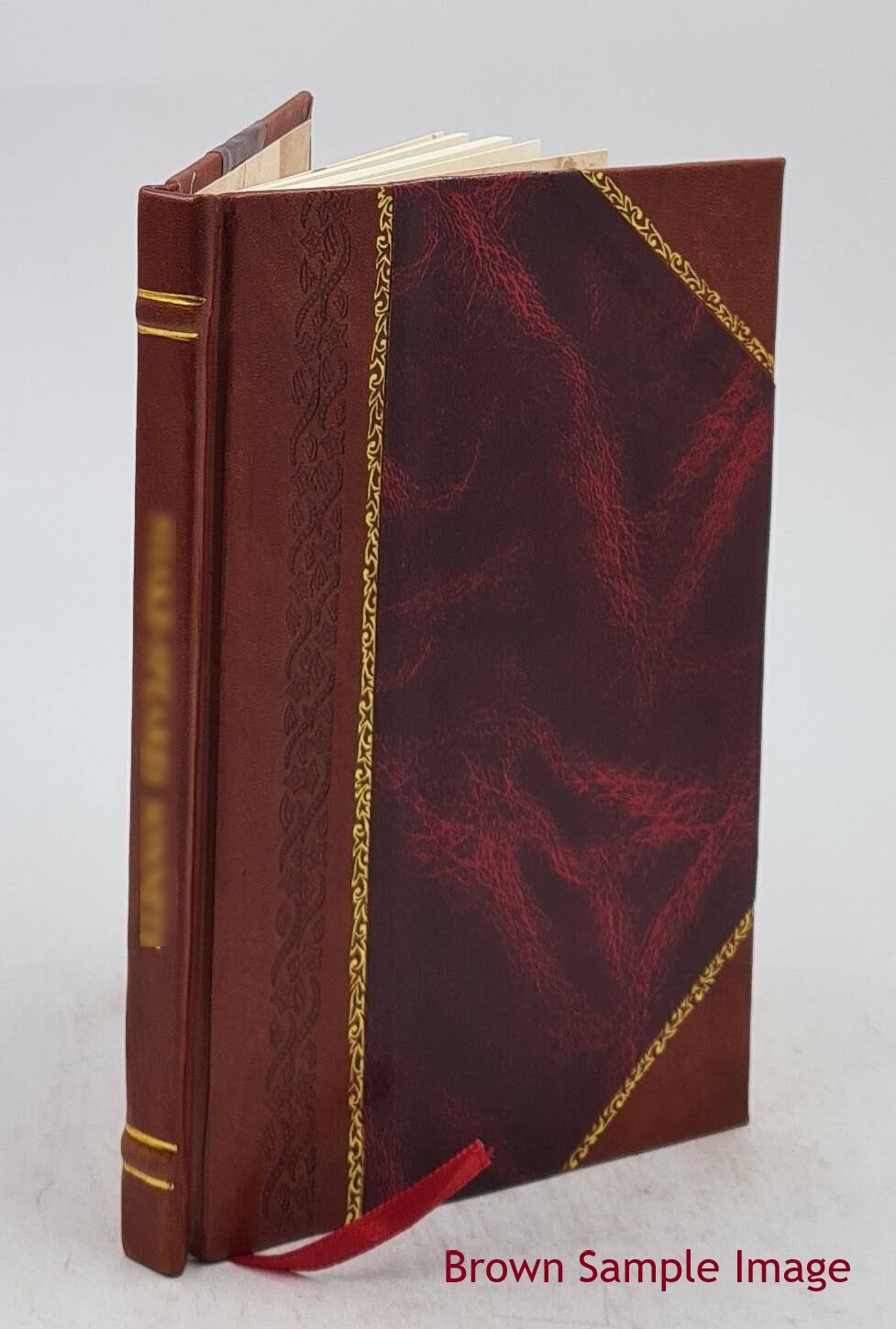 The Embroiderer’S Book Of Design : Containing Initials, Emblems, [Leather Bound]